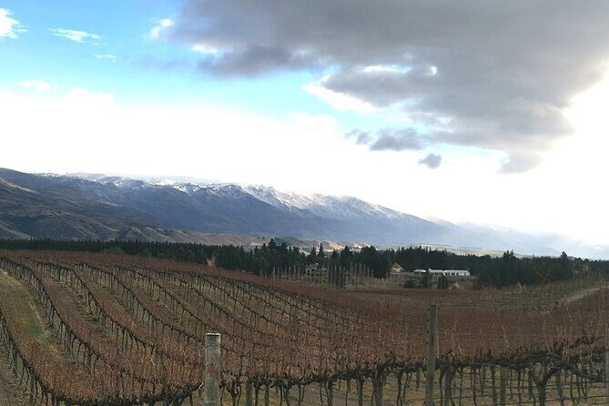 Lake Dunstan Cycleway with E-Bike hire and Shuttle service - Central Otago views and the cliff clip-ons: what you’re actually riding through