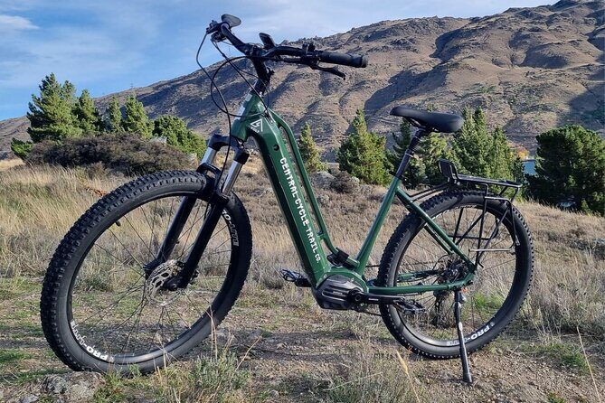 Lake Dunstan E-Bike Trail Adventure - The Lake Dunstan Shoreline: Vineyards, Gorges, and Winery Stops