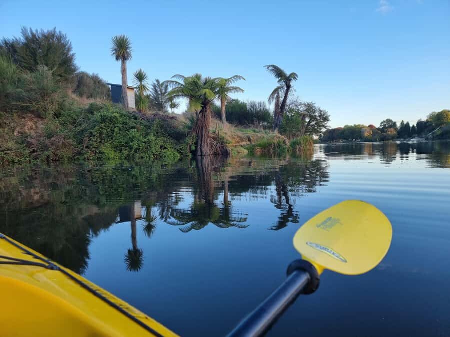 Lake Karapiro: Evening Kayak Glowworm Tour - Up the Stream, Through the Canyon: What the Paddle Feels Like