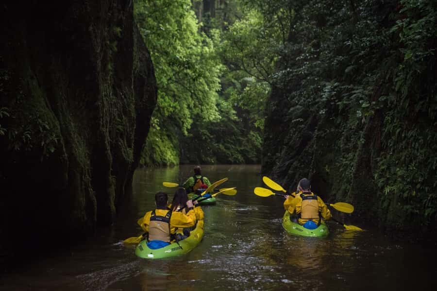 Lake Karapiro: Evening Kayak Glowworm Tour - When Darkness Falls: Seeing Glowworms Like Tiny Lights