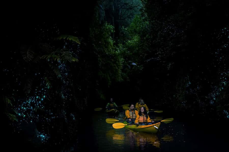 Lake Karapiro: Evening Kayak Glowworm Tour - Price and Value: Is $89 Worth It?