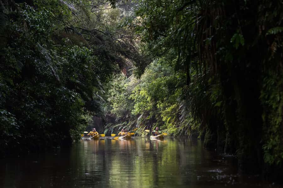 Lake Karapiro: Evening Kayak Glowworm Tour - What to Wear and Pack (So You Stay Warm, Not Miserable)