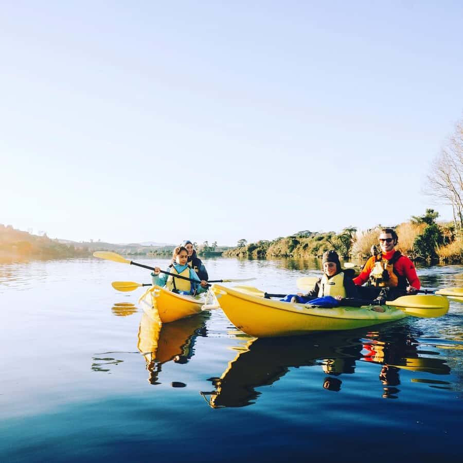 Lake Karapiro: Evening Kayak Glowworm Tour - Who This Tour Suits Best (And Who Might Struggle)