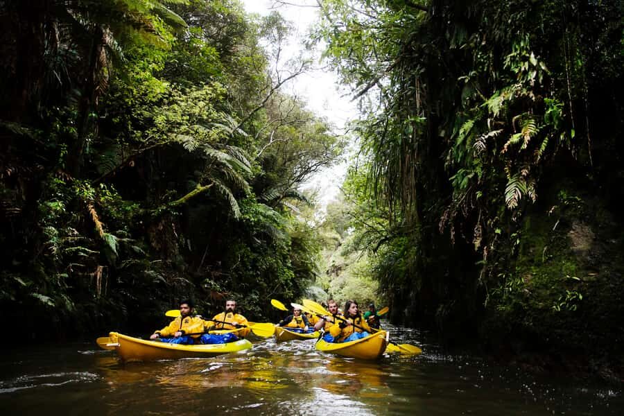 Lake Karapiro: Evening Kayak Glowworm Tour - The 210 Minutes That Make It Work: Twilight to Glowworm Drift