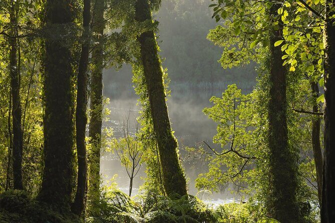 Lake Matheson Nature Tour - Weather-proof comfort: what’s included and what you should still bring