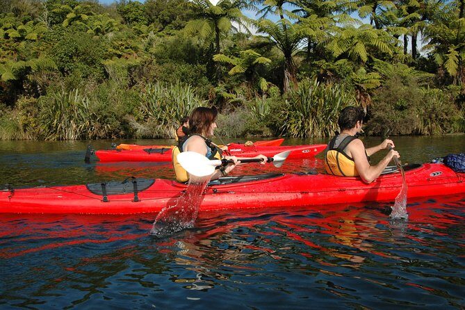 Lake Rotoiti Guided Hot Pools Kayak Trip - Price in plain terms: what $104.88 gets you