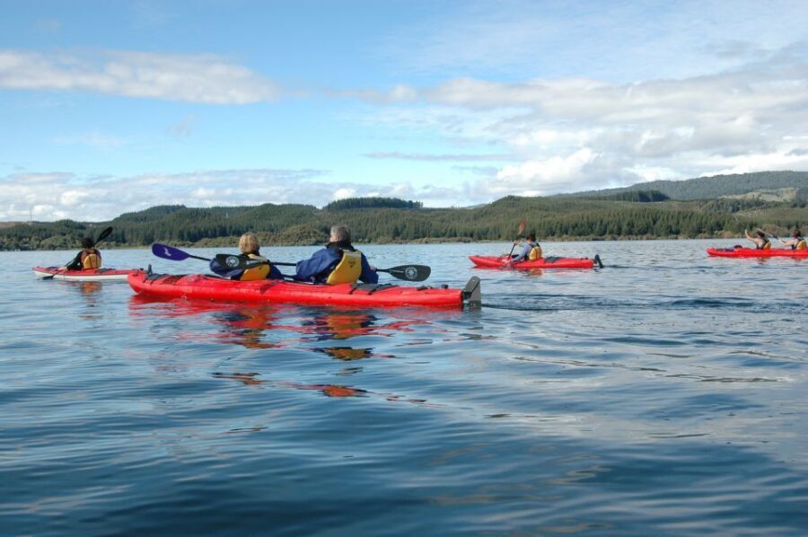 Lake Rotoiti & Hot Pools Guided Kayak - Should you book Lake Rotoiti & Hot Pools Guided Kayak?