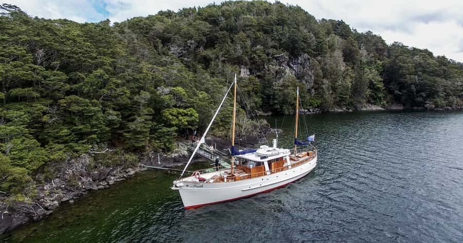 Lake Te Anau: 3-Hour Boat Cruise with Guided Walk - Price and Value: What $86 Gets You (and Why It Feels Fair)