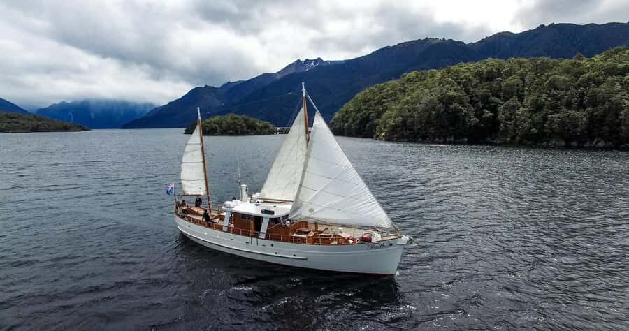 Lake Te Anau: 3-Hour Boat Cruise with Guided Walk - Hidden Lakes Guided Walk (About 40 Minutes): What the Forest Teaches