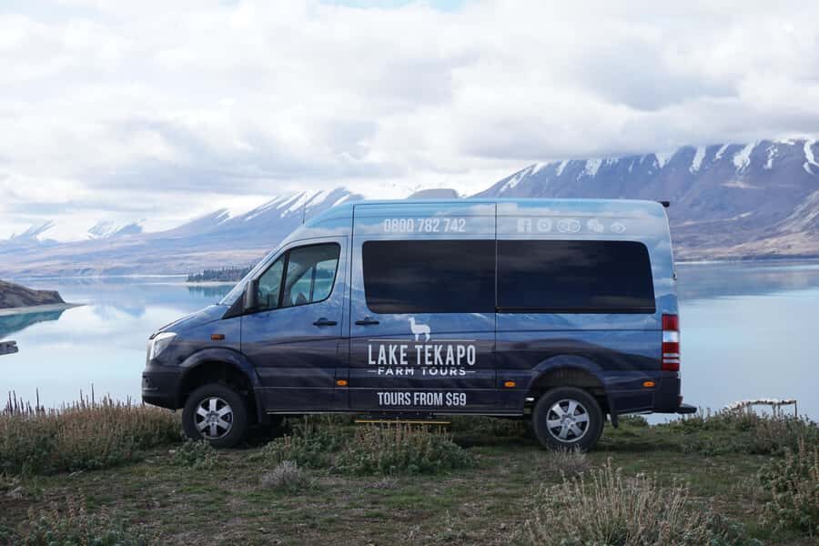 Lake Tekapo High Country Farm Tour (Carbon Positive) - Sheep, cows, alpacas: how Andy ties it together