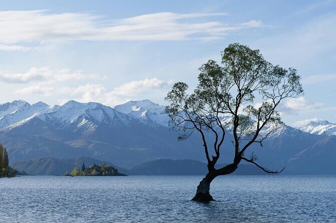 Lake Tekapo Private Day Trip from Queenstown - The route: Cromwell or Wanaka, then Lindis Pass toward the Mackenzie