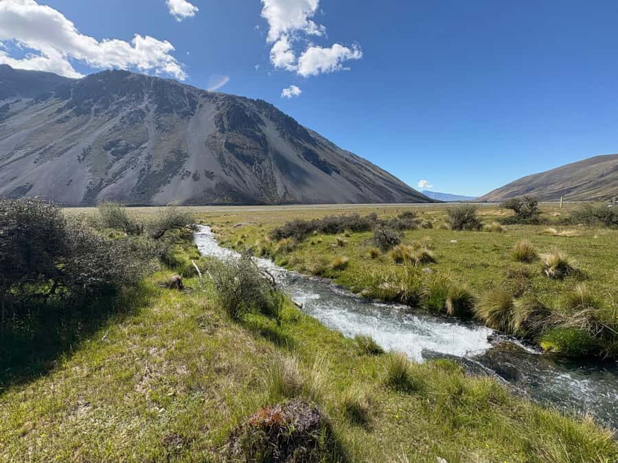 Lake Tekapo Scenic 4WD Cass Valley Wilderness Tour - Private Merino station access: why the “farm” part is more than scenery