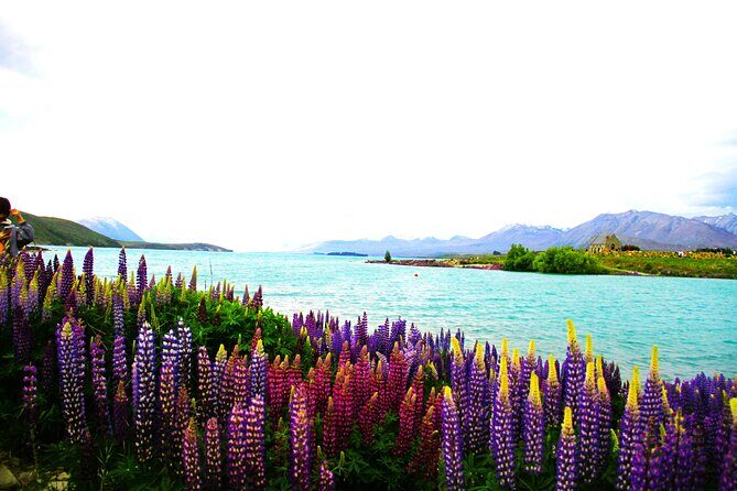 Lake Tekapo Stargazing & Mount Cook 2-Day Tour from Christchurch - Who this tour suits best