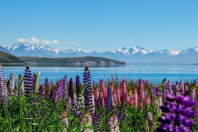 Lake Tekapo to Mt Cook One-Way Small Group Tour - Quick hits before you go: Lake Tekapo to Mt Cook via Lake Pukaki