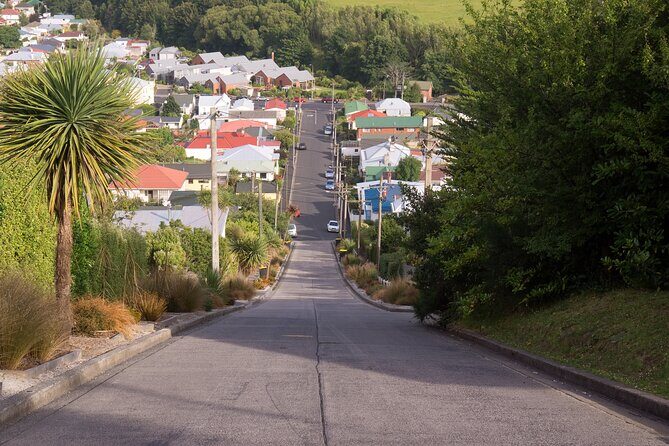Larnach Castle & Dunedin City Highlights Tour (Shore Excursion) - Key highlights worth your time
