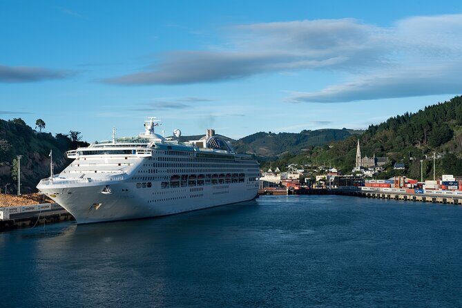 Larnach Castle & Dunedin City Highlights Tour (Shore Excursion) - Value check: is €107.55 a good deal?