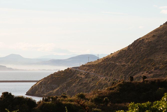 Larnach Castle & Otago Wildlife Cruise from Dunedin - What to pack and how to time your day