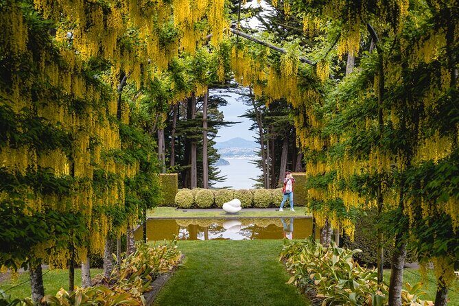 Larnach Castle & Otago Wildlife Cruise from Dunedin - Who this tour suits best (and who should think twice)