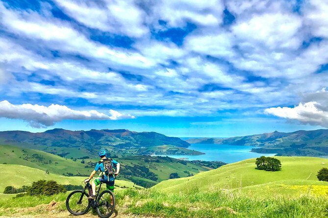 Lava Loop- Guided electric mountain bike tour in Akaroa - Key highlights you’ll feel on the ride