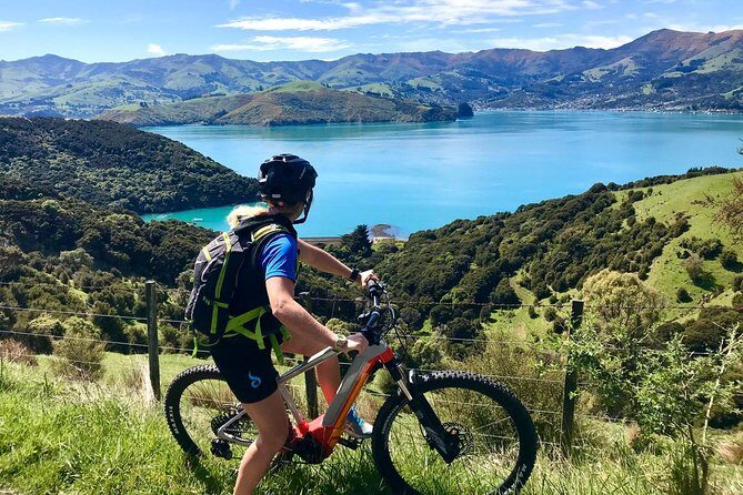 Lava Loop- Guided electric mountain bike tour in Akaroa - Price and value: why $192 can make sense here