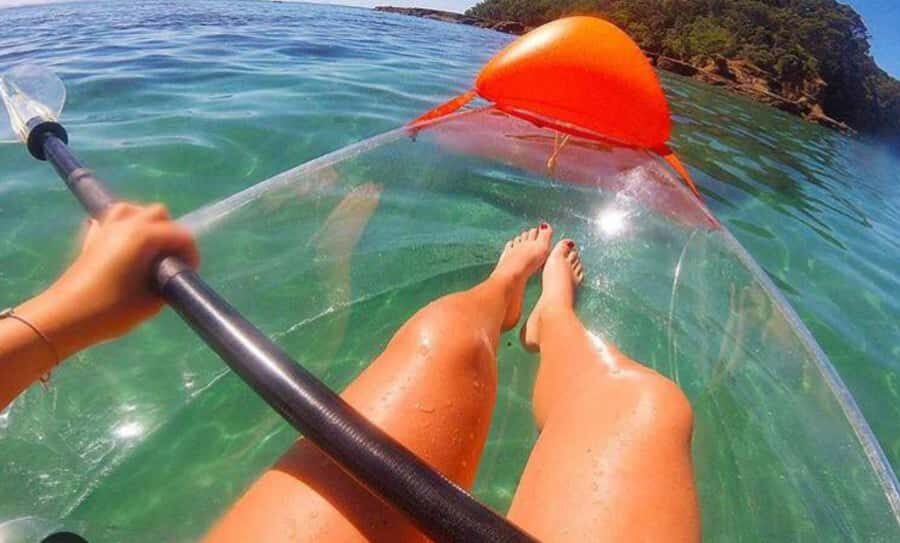 Leigh: Goat Island Clear Kayak Rental - Paddling the Goat Island Marine Reserve: what you’ll see under the clear hull