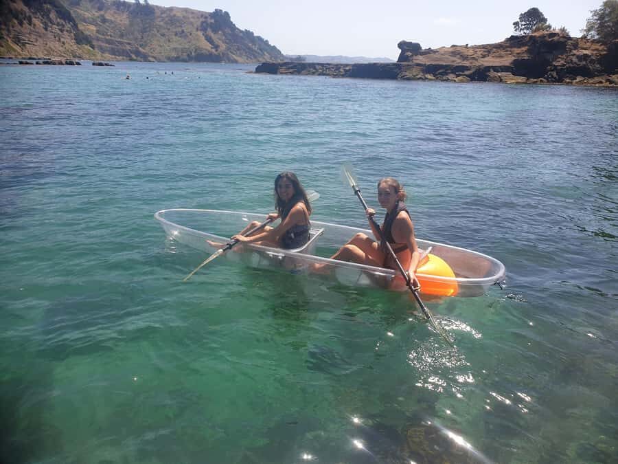 Leigh: Goat Island Clear Kayak Rental - The 60 minutes on the water: how to make the most of short time