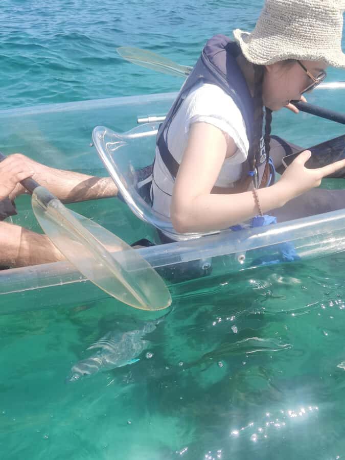 Leigh: Goat Island Clear Kayak Rental - Price and group size: is $107 for up to 2 actually good value?