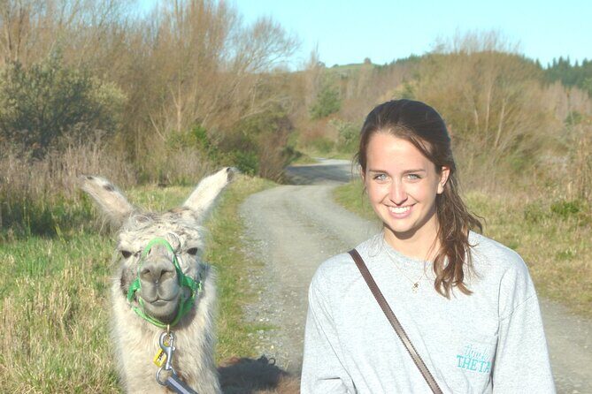 Llama Trek (Taster) - Kowhai River Valley and Native Woodland Tour - Where you start and how to plan your day