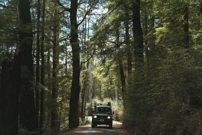 Lord of Rings Tour around Queenstown Lakes by 4WD (full day) - The 12 Mile Delta and Ithilien Camp: quick, but purposeful
