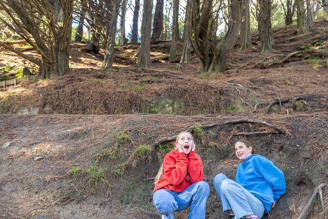 Lord of the Rings 1/2 day Tour to rule them all incl. Weta Tour - Why this 3.5-hour LOTR and Weta tour makes sense