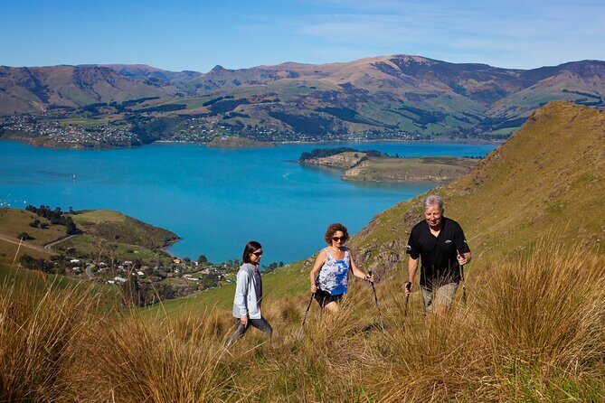 Luxury Private Guided Crater Rim Walk on Banks Peninsula - Key highlights that make this tour worth your time