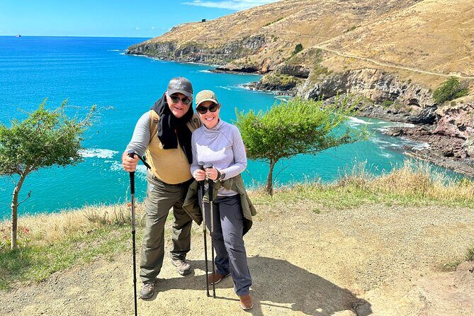 Luxury Private Guided Crater Rim Walk on Banks Peninsula - Godley Head 8 km loop: the crater rim payoff