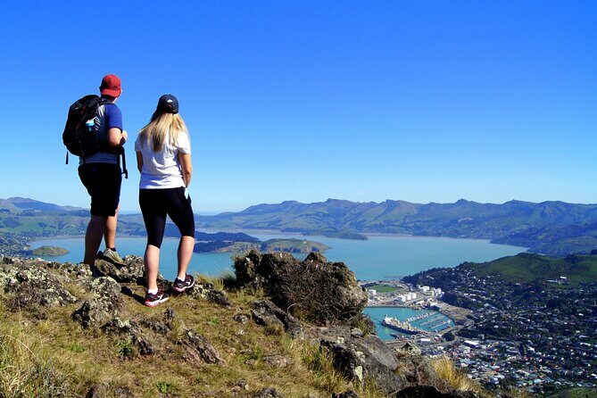 Luxury Private Guided Crater Rim Walk on Banks Peninsula - Meals and pacing: why the included food changes your day