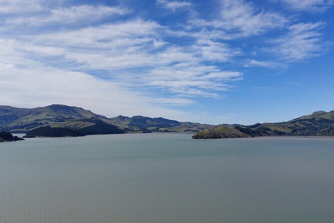 Lyttelton Shore Excursion: Christchurch Sightseeing with Antarctic Center - Riverside Market and lunch break: choose your pace and your food