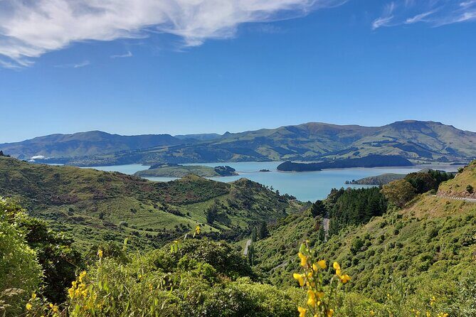Lyttelton Shore Excursion: Christchurch & Willowbank Tour - How a 6.5-hour shore day fits Christchurch and Willowbank