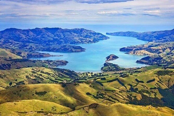 Lyttelton Shore Excursion: Twin Harbour Tour (Lyttelton & Akaroa) - Key things I’d plan around