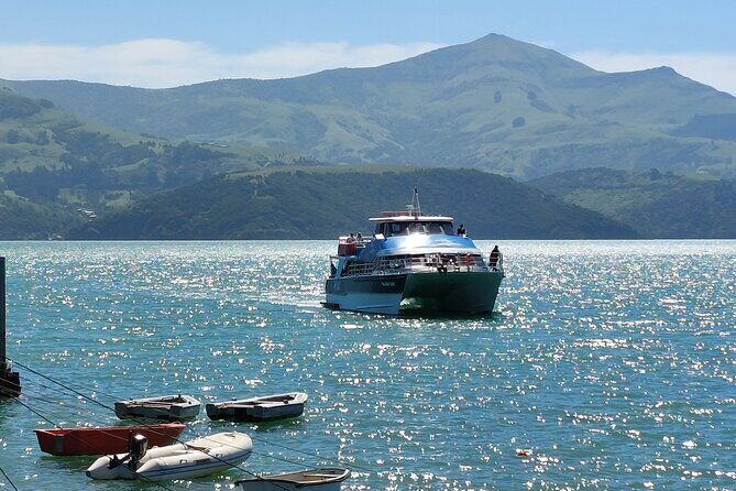 Lyttelton Shore Excursion: Twin Harbour Tour (Lyttelton & Akaroa) - Price ($167.55): when it feels worth it
