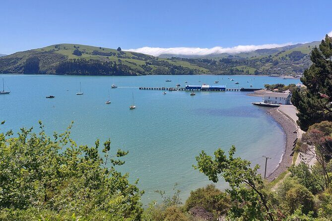 Lyttelton Shore Excursion: Twin Harbour Tour (Lyttelton & Akaroa) - Should you book the Twin Harbour Tour?
