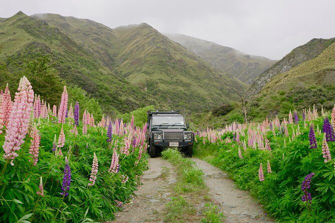 Macetown 4WD Adventure – Full Day Guided Tour from Queenstown - Arrowtown Village: a quick historic warm-up (45 minutes)