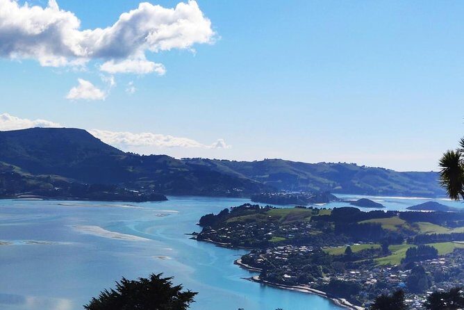 Mainland Peninsula Tour - Who should book this Dunedin and Otago Peninsula small-group tour?