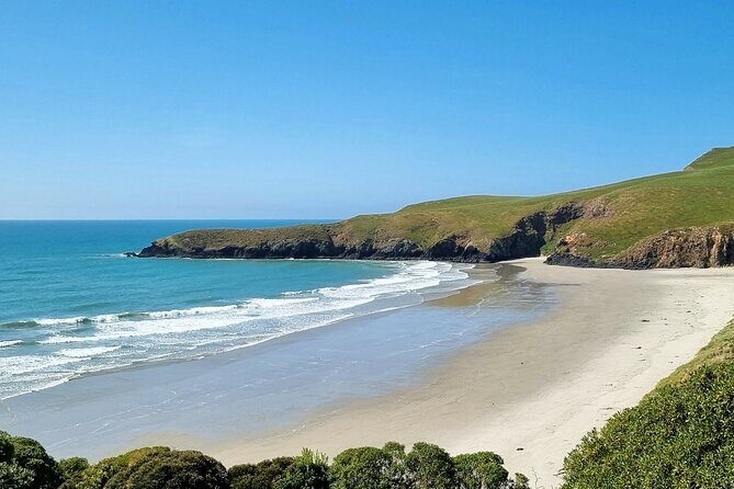 Mainland Peninsula Tour - The OPERA Eco Reserve and the yellow-eyed penguin conservation walk