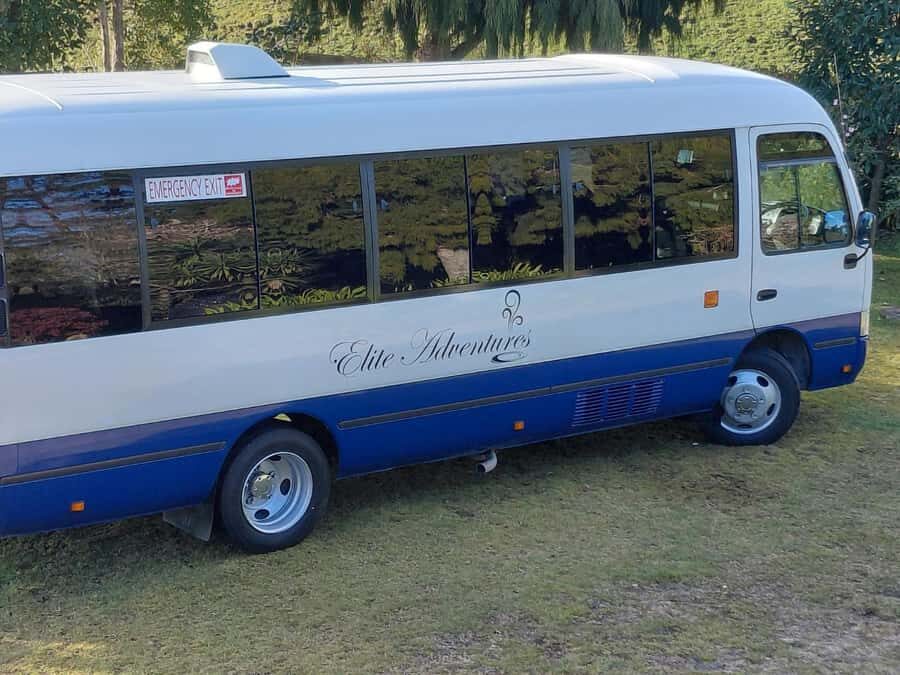 Maori Culture Small Group Afternoon Tour including Te Puia - Hotel pickup and the scenic Rotorua District drive (about 1 hour)
