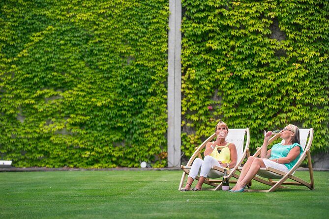 Marlborough Afternoon Wine Tour with Tastings - Food, pacing, and tasting-smart tips for your afternoon