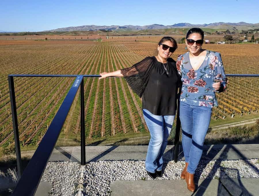 Marlborough: Blenheim Wine Tour; Afternoon of Wine only - Lunch, platters, and what you can do with downtime