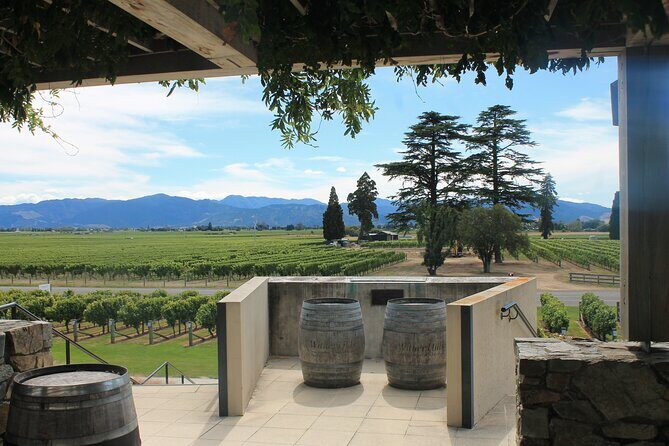 Marlborough Classic Wine Tasting Tour. - Should you book the Marlborough Classic Wine Tasting Tour?
