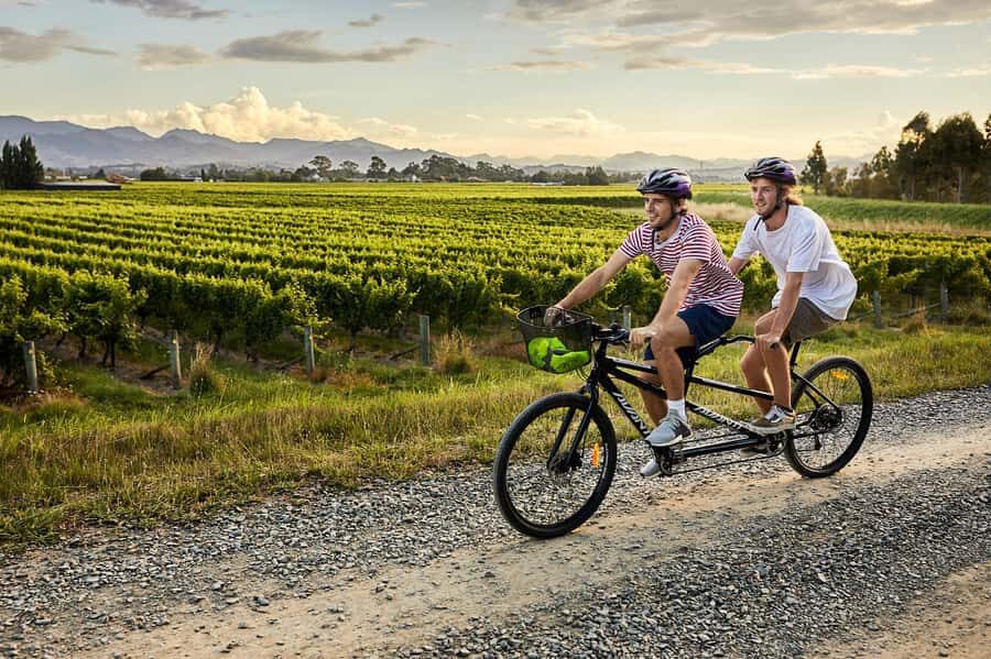 Marlborough: Full-Day Self-Guided Biking Wine Tour - Key things that make this Marlborough bike wine tour work