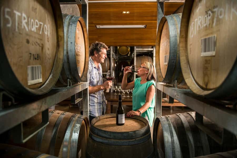 Marlborough: Full-Day Wine and Seafood Tour with Cruise - Who this tour is best for (and who might want a different option)