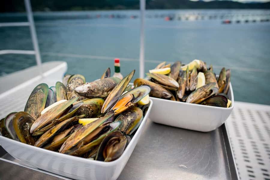 Marlborough: Full-Day Wine and Seafood Tour with Cruise - Getting started: Blenheim pickup and how the day stays on schedule