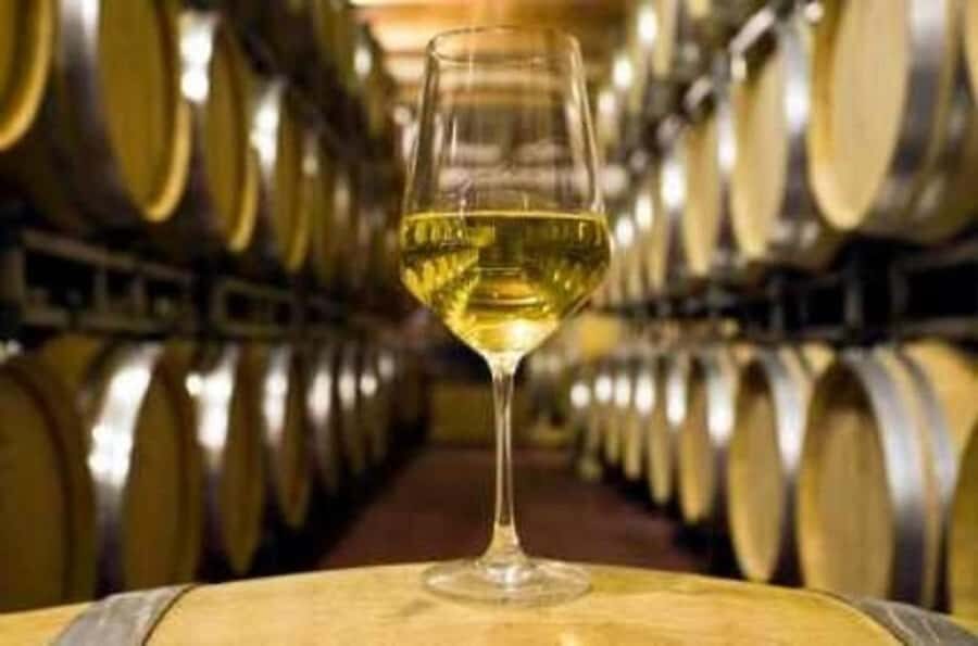 Marlborough Full Day Wine Tour - Price and value: what $131 covers and what it doesn’t
