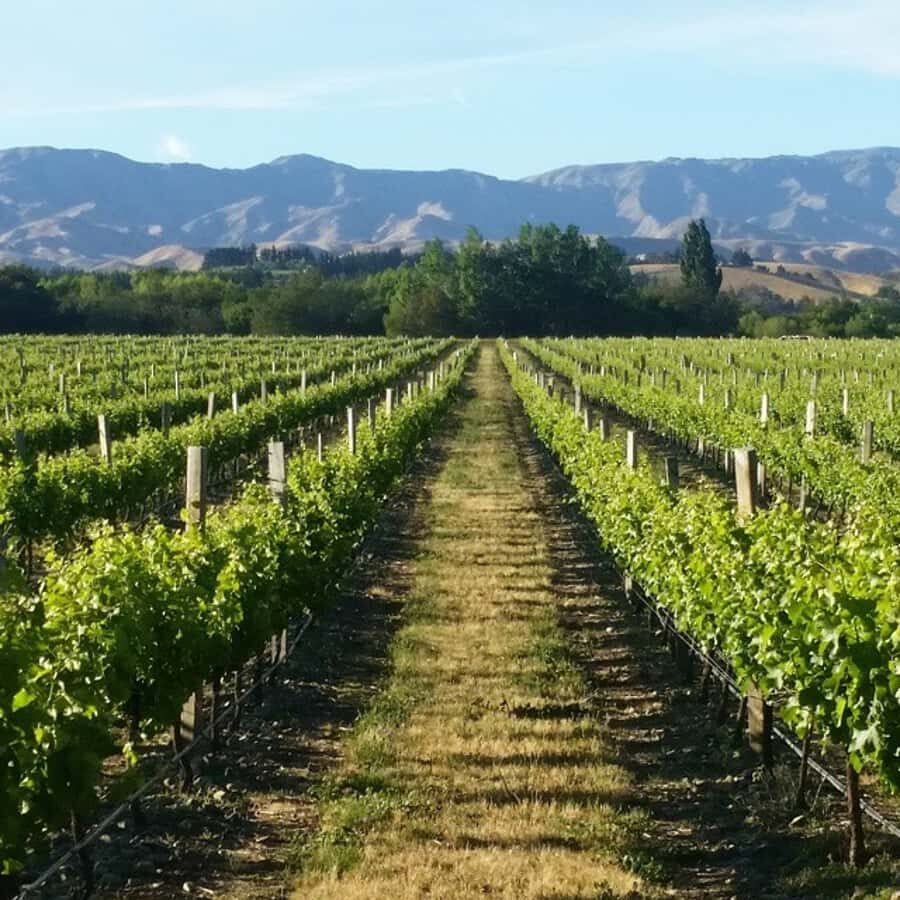 Marlborough Full Day Wine Tour - Getting picked up in Blenheim and settling into the minibus